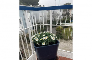 Grado, Italie, 3 Bedrooms Bedrooms, ,1 BathroomBathrooms,Byt,Na prodej,1446